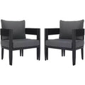 Viola Patio Chair Indoor/Outdoor (Set of 2) - PAT7750 - Safavieh