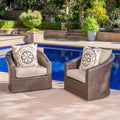 Christopher Knight Home Darius Outdoor Wicker Swivel Club Chairs with Cushion (Set of 2)