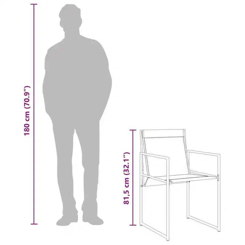 vidaXL Chaises de jardin 4 pcs Noir Acier et textilène