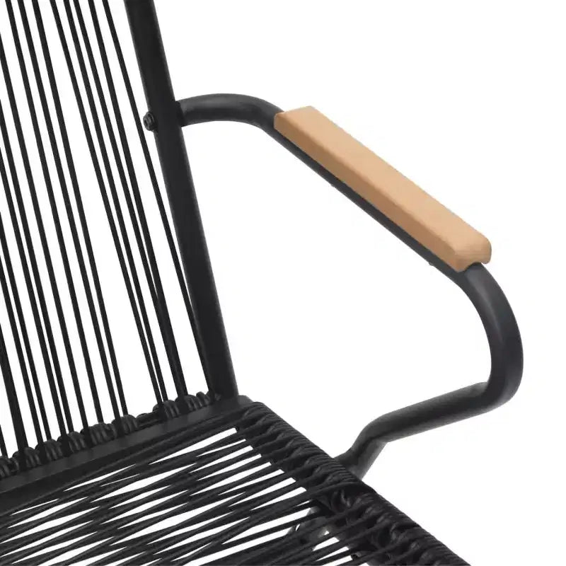 vidaXL Chaises de jardin 2 pcs Noir 22,8x23,2x33,7 Rotin PVC