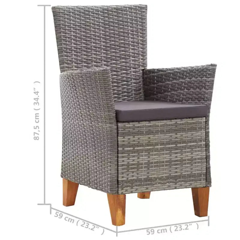 vidaXL Chaises de jardin 2 pcs avec coussins résine tressée gris