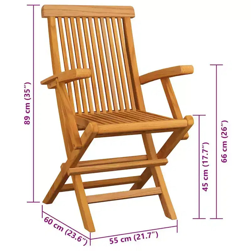 vidaXL Lot de 2 chaises de jardin pliables en bois d'acacia massif avec coussins taupe – Pour jardin, terrasse et patio