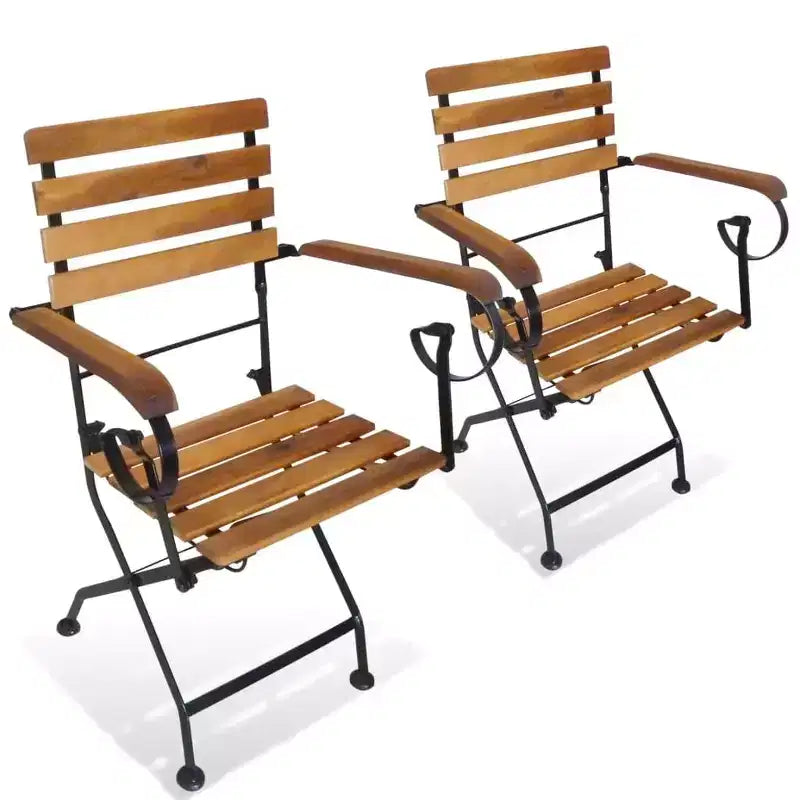 vidaXL Lot de 2 Chaises Pliantes Marron et Noir