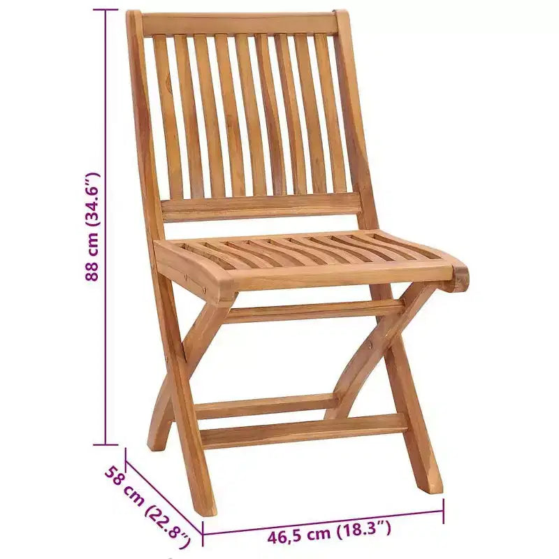 vidaXL Ensemble de 2 Chaises de Jardin Teck Bois de Teck Massif Taille Adulte Pliable