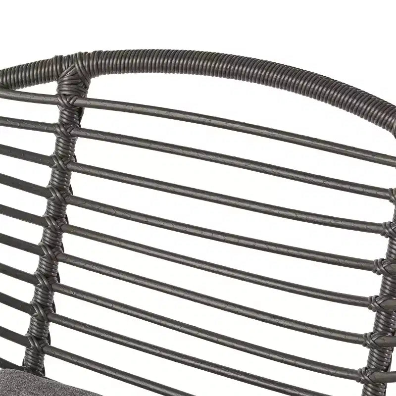 Christopher Knight Home San Antonio Chaises d'extérieur en osier tressé avec coussins (Lot de 2)