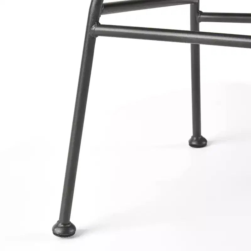 Christopher Knight Home San Antonio Chaises d'extérieur en osier tressé avec coussins (Lot de 2)
