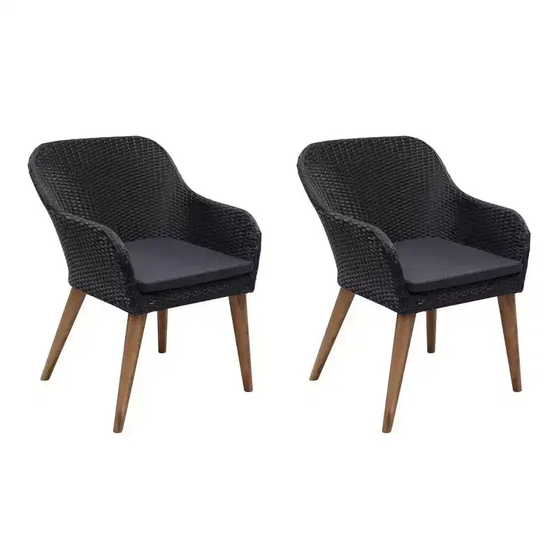vidaXL Chaises de jardin 2 pcs 62,5 x 55 x 82 cm Résine tressée