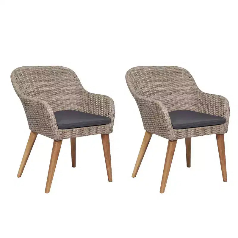 vidaXL Chaises de jardin 2 pcs 62,5 x 55 x 82 cm Résine tressée