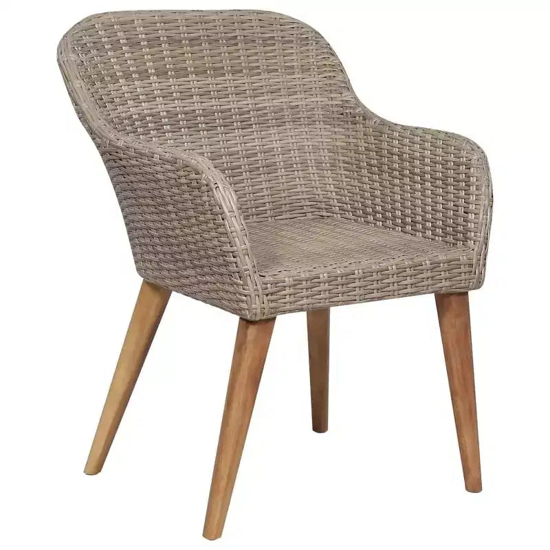 vidaXL Chaises de jardin 2 pcs 62,5 x 55 x 82 cm Résine tressée