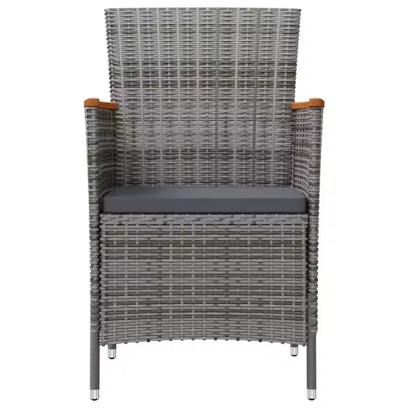 vidaXL Lot de 2 chaises de jardin