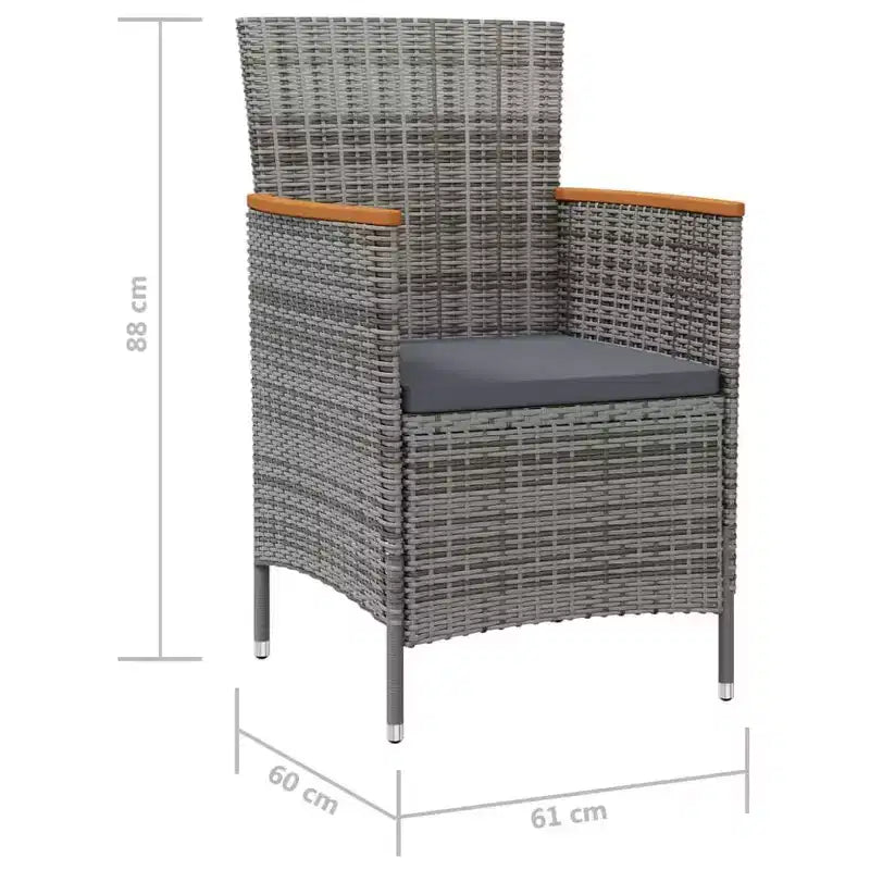 vidaXL Lot de 2 chaises de jardin