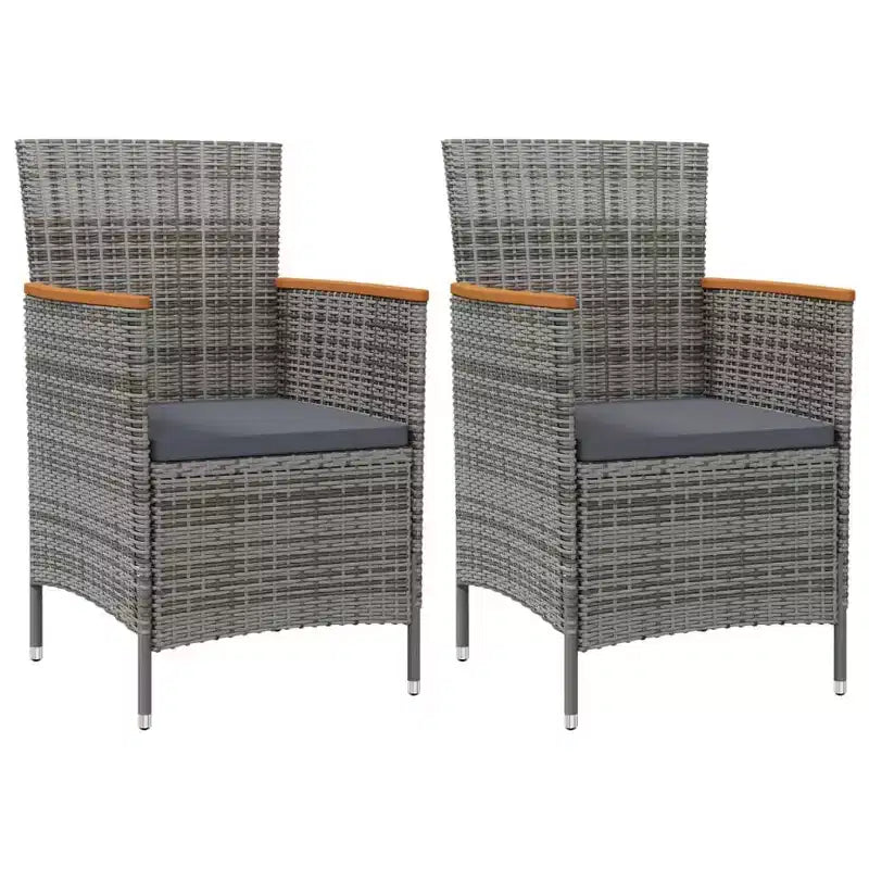 vidaXL Lot de 2 chaises de jardin