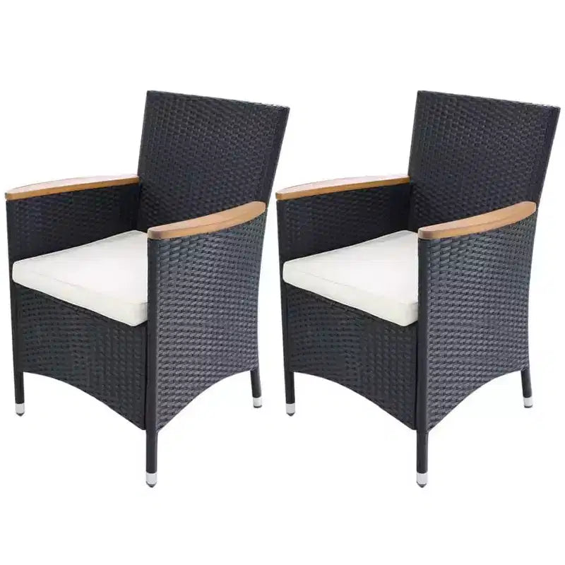 vidaXL Garden Chair Set of 2