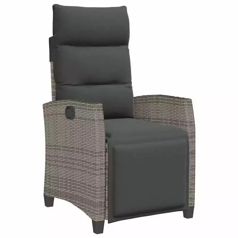 vidaXL Reclining Garden Chair PE rattan, powder-coated steel Medium