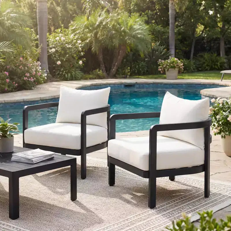 Christopher Knight Home Rosa Modern Aluminium Patio Accent Chairs with Curved Backrest and Cushion (Set of 2)