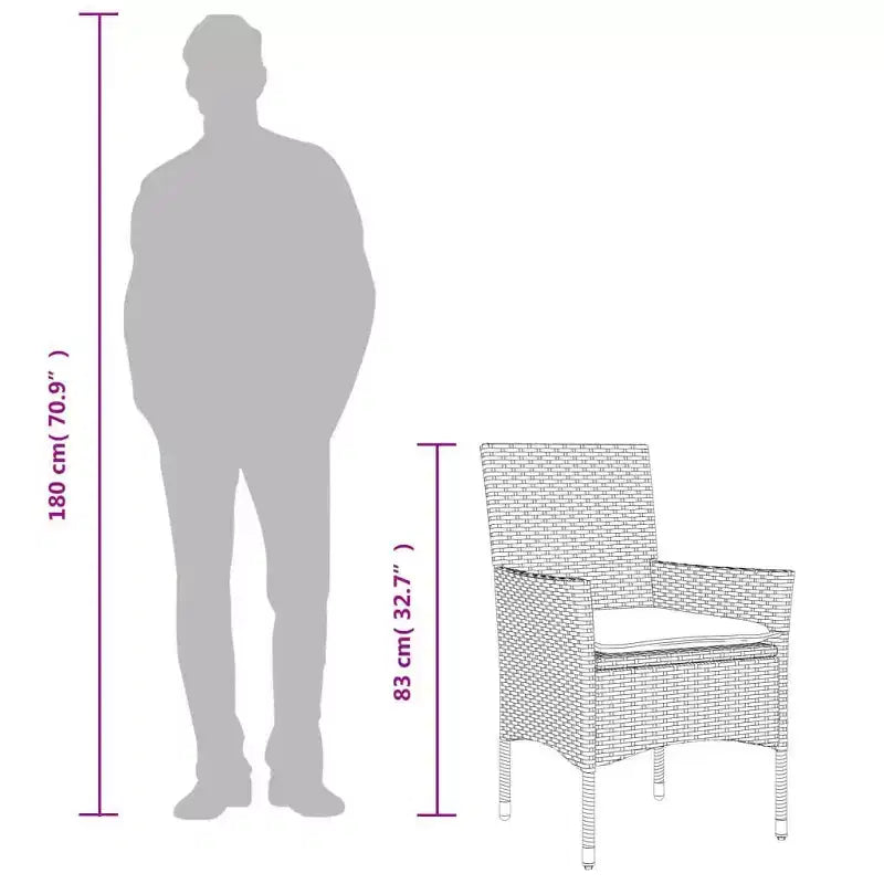 vidaXL Chaises de jardin avec coussins 2 pcs Résine tressée