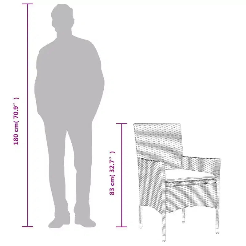vidaXL Chaises de jardin avec coussins 2 pcs Résine tressée