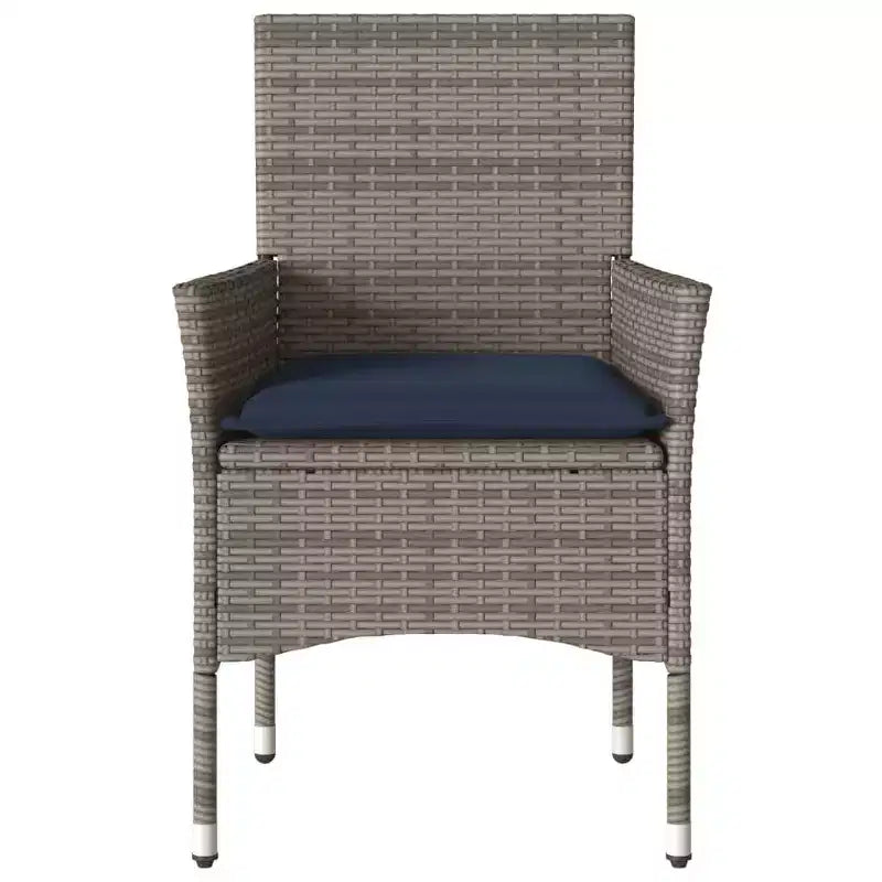 vidaXL Chaises de jardin avec coussins 2 pcs Résine tressée