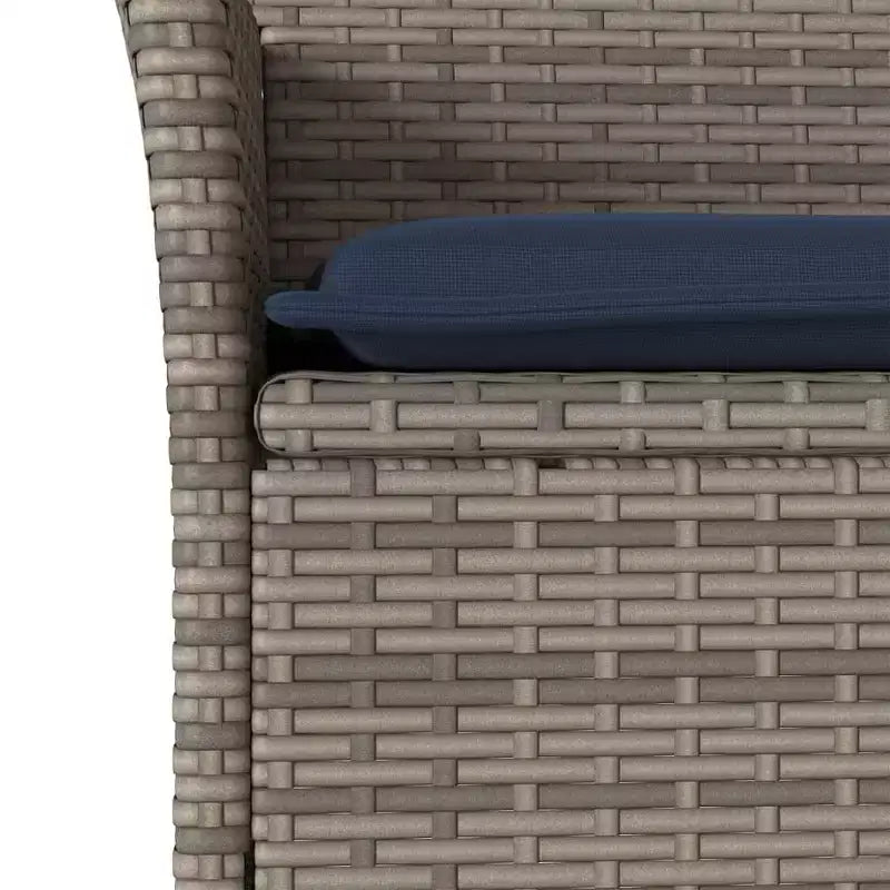 vidaXL Chaises de jardin avec coussins 2 pcs Résine tressée
