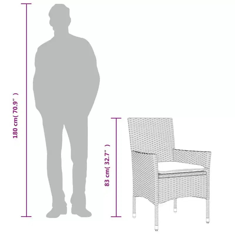 vidaXL Chaises de jardin avec coussins 2 pcs Résine tressée