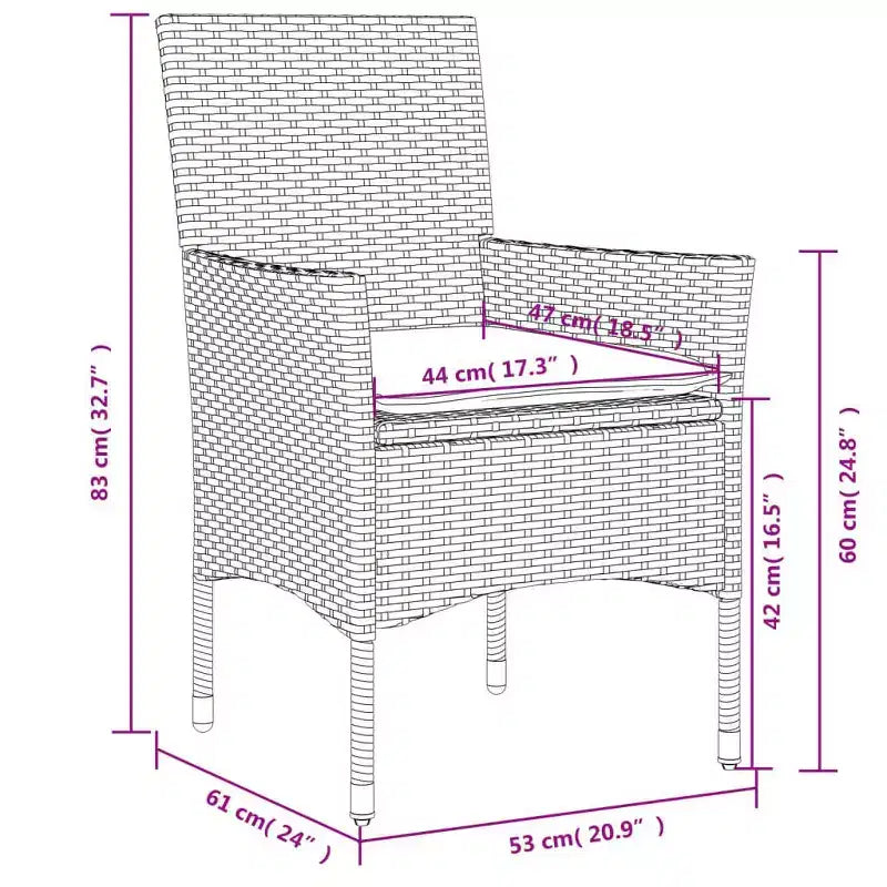 vidaXL Chaises de jardin avec coussins 2 pcs Résine tressée