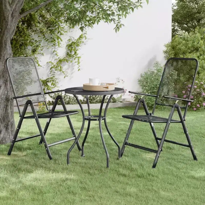 vidaXL Lot de 2 chaises de jardin pliantes