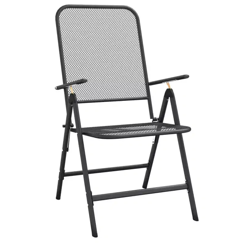 vidaXL Lot de 2 chaises de jardin pliantes