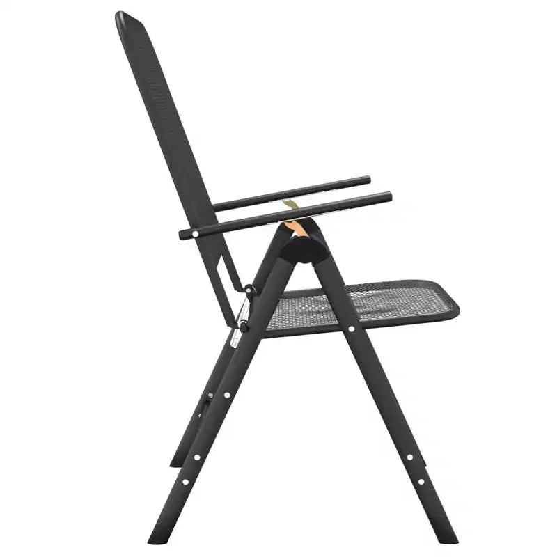 vidaXL Lot de 2 chaises de jardin pliantes