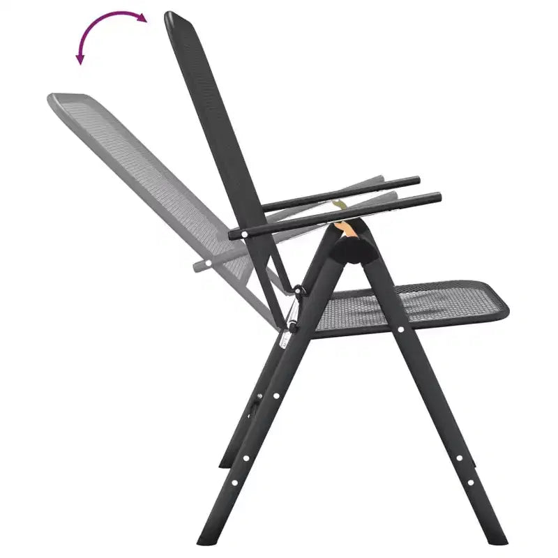 vidaXL Lot de 2 chaises de jardin pliantes
