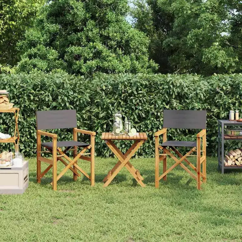 vidaXL Chaises de réalisateur, 2 pcs, Gris, Bois de teck et polyester, Moyen