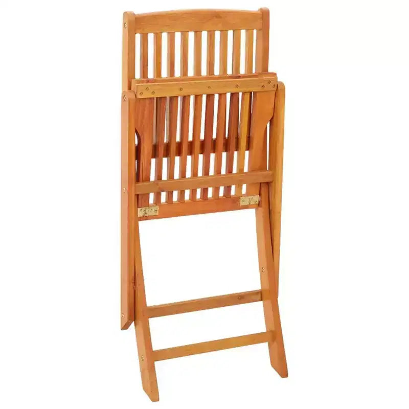vidaXL Chaises de jardin lot de 2 Bois naturel Bois d'eucalyptus massif Standard