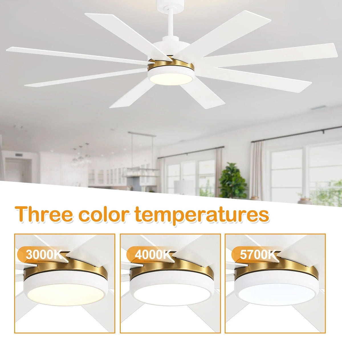 Ventilateur de plafond de 65 pouces à 8 pales noires avec lumière LED et télécommande
