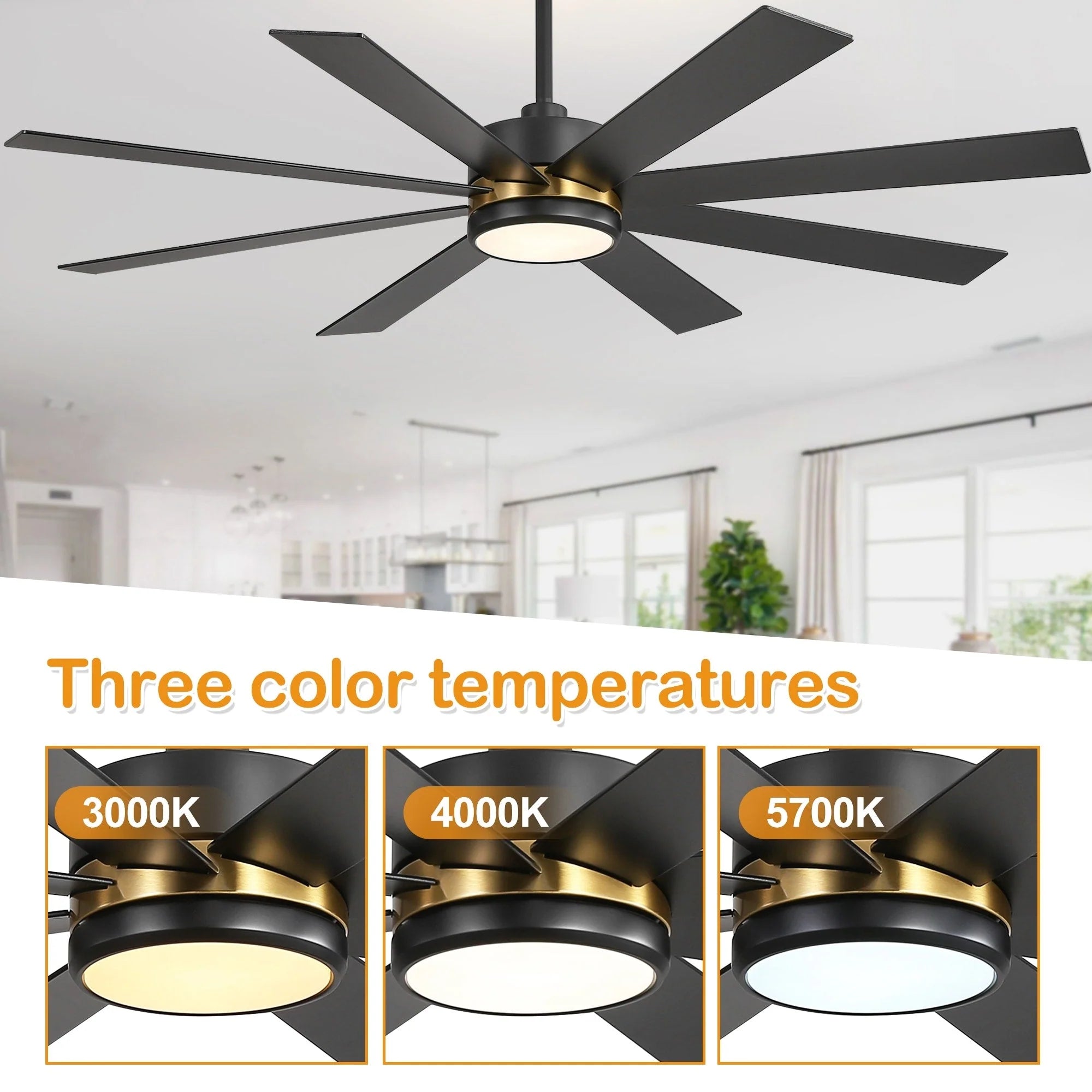 Ventilateur de plafond de 65 pouces à 8 pales noires avec lumière LED et télécommande