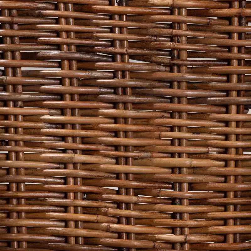 bali & pari Mario Ensemble de 2 chaises de salle à manger modernes de style bohème en teck et rotin, finition marron naturel