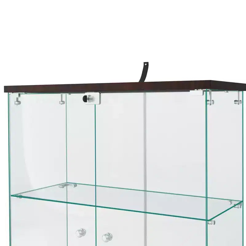 Vitrine en verre 64,5 X 32 avec serrure